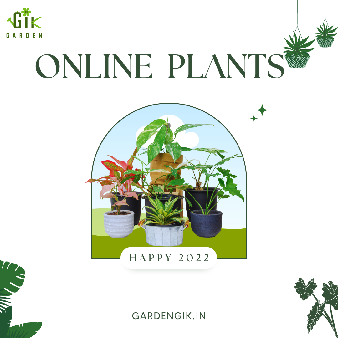 garden gik